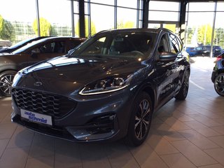 Ford Kuga Neuwagen Kaufen