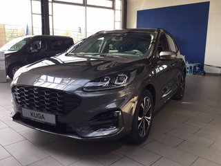 Ford Kuga Neuwagen Kaufen