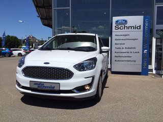 Ford KA+ Gebrauchtwagen Kaufen