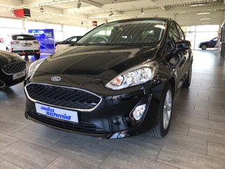 Ford Fiesta Gebrauchtwagen Kaufen