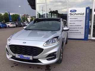 Ford Kuga Gebrauchtwagen Kaufen