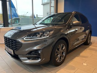 Ford Kuga Gebrauchtwagen Kaufen