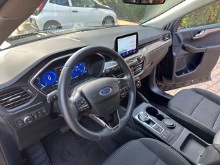 Ford Kuga Plug-In Hybrid Titanium/Panorama/Kamera/ - bilder 21
