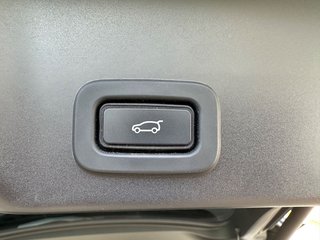 Land Rover Range Rover Evoque SE/Panorama/360°-Kamera - bilder 15