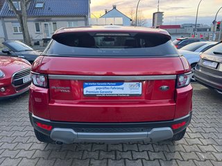 Land Rover Range Rover Evoque Pure/Kamera/Leder/ - foto 7