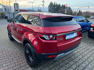 Land Rover Range Rover Evoque Pure/Kamera/Leder/ - foto 8