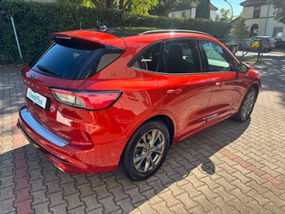 Ford Kuga ST-Line X/Panorama/Kamera/Vollausstattung/ - bilder 6