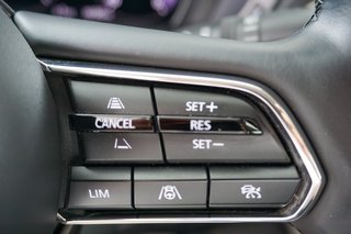Mazda CX-60 Homura Hybrid AWD ACC BOSE 360K Leder - bilder 8