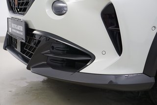 CUPRA Formentor VZ5 Edition Taiga Grey 125/999 4Drive - photo 6