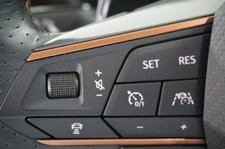 CUPRA Formentor VZ5 Edition Taiga Grey 125/999 4Drive - photo 10