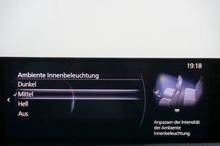 Mazda CX-60 Homura Hybrid AWD ACC Leder BOSE 360K Head - bilder 1