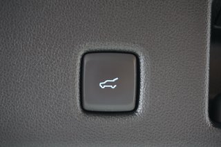 Ford Kuga Plug-In Hybrid ST-Line X ACC 360 Kamera B&O - foto 8