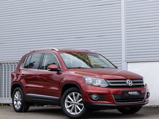 Volkswagen Tiguan Gebrauchtwagen Kaufen