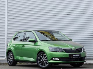 Skoda Fabia Gebrauchtwagen Kaufen