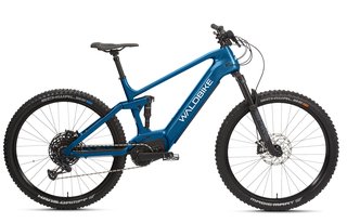 WALDBIKE Quercus Gebrauchtwagen Kaufen
