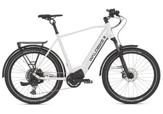 WALDBIKE Sorbus Gebrauchtwagen Kaufen