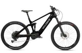 WALDBIKE Quercus Gebrauchtwagen Kaufen