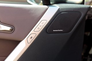 BMW IX 40 XDrive Panorama-Glasdach - foto 35