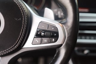 BMW X7 xDrive 30 d M Sport - foto 43