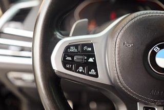 BMW X7 xDrive 30 d M Sport - foto 44