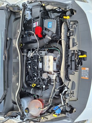 Ford Fiesta Cool & Connect 1.0 EcoB. Klima Navi DAB PPS Hi - foto 10