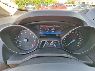 Ford C-MAX 1.0 EcoB. Titanium Key-Free RFK Navi AHK Winter-P. - foto 18