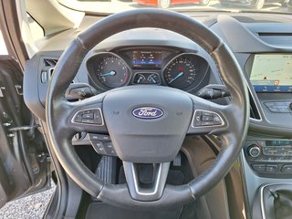 Ford C-MAX 1.0 EcoB. Titanium Key-Free RFK Navi AHK Winter-P. - foto 19