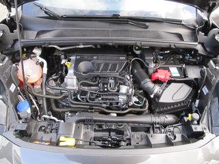 Ford Puma ST-Line X 1.0 MHEV LED iACC BLIS RFK DAB - bilder 10