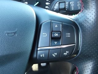 Ford Fiesta 1.0EcoB. ST-Line Navi SYNC3.4 DAB Winter-P. - foto 17