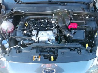 Ford Fiesta 1.0EcoB. ST-Line Navi SYNC3.4 DAB Winter-P. - foto 20