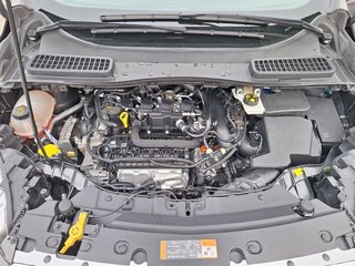 Ford Kuga Trend 1.5 AHK Winter-P. Tempomat PPS Hinten - foto 10