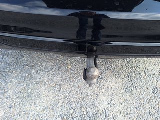 Ford Kuga ST-Line X 1.5 Aut. Pano LED AHK Tech.-P. - bilder 12