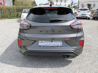Ford Puma ST 1.5 200PS Recaro DAB Navi LED B&O Toterwinkel PPS V+H - bilder 2