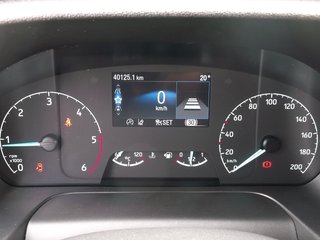 Ford Transit Kasten 350 L3H3 Trend ACC Express-Line 360°Kamera - foto 18