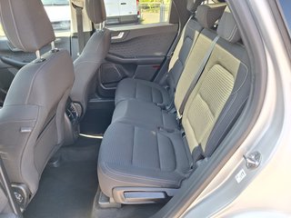 Ford Kuga 2.5 PHEV Titanium iACC Pano AHK Head-Up LED Winter-P. DAB Navi - bilder 9