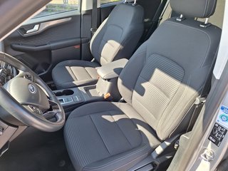 Ford Kuga 2.5 PHEV Titanium iACC Pano AHK Head-Up LED Winter-P. DAB Navi - bilder 4