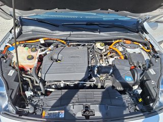 Ford Kuga 2.5 PHEV Titanium iACC Pano AHK Head-Up LED Winter-P. DAB Navi - bilder 11