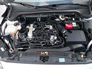 Ford Focus Turnier 1.0 C&C ACC LED Key-Free Elektr. Heckklappe Cool & Connect - bilder 10