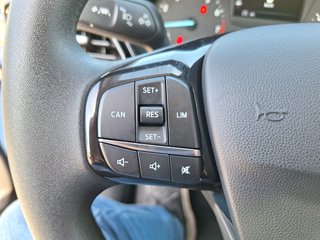 Ford Fiesta Trend 1.0 Navi DAB PPS V+H - bilder 17