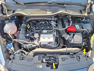 Ford Fiesta Trend 1.0 Navi DAB PPS V+H - bilder 10