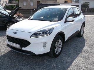 Ford Kuga Gebrauchtwagen Kaufen