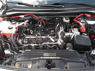 Ford Kuga 2.5 PHEV Plug-In Hybrid Cool & Connect Navi DAB - bilder 10