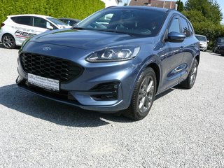 Ford Kuga Gebrauchtwagen Kaufen