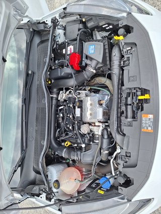 Ford Fiesta Cool & Connect 1.0 EcoB. Klima Navi DAB PPS Hi - foto 10