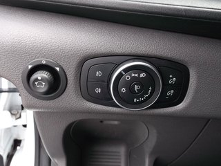 Ford Transit Kasten 310 L2 H2 Trend Hybrid Laderaum: LED, Holzboden, AHK - bilder 11