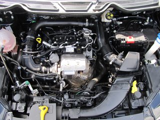 Ford EcoSport 1.0 ST-Line Xenon B&O Navi DAB Winter-P. - bilder 11