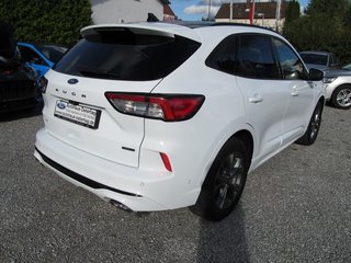 Ford Kuga Hybrid ST-Line X FHEV 4x4 AWD ACC Panoramadach Winter-P. - bilder 3