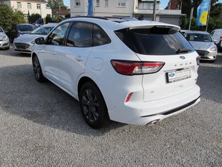 Ford Kuga Hybrid ST-Line X FHEV 4x4 AWD ACC Panoramadach Winter-P. - bilder 3