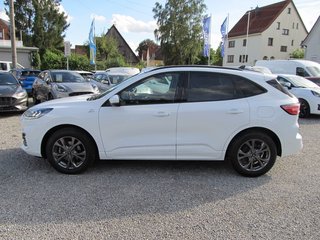 Ford Kuga Hybrid ST-Line X FHEV 4x4 AWD ACC Panoramadach Winter-P. - bilder 4