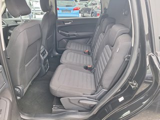 Ford S-MAX 2.0 Aut AHK abn Navi DAB Rückf-Kamera PPDS v+h Sitzheizung - bilder 6